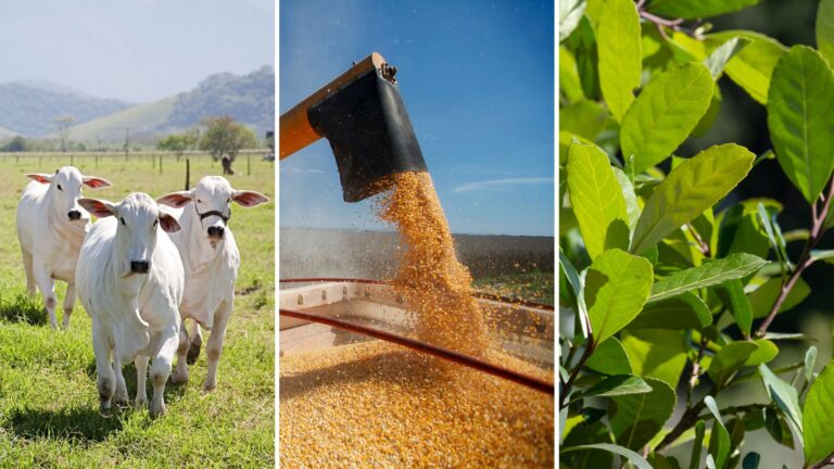 aos-2024-09-25T123844.684