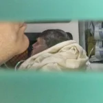 jair-bolsonaro-chega-de-samu-ao-hospital-df-star-apos-passar-mal-na-papudinha-metropoles-2-scaled